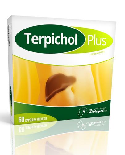 TERPICHOL PLUS - 60 kaps. zdjęcie