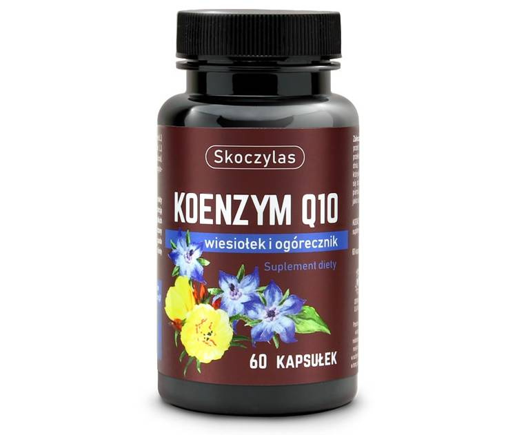Skoczylas Koenzym Q10, kapsułki, 60 sztuk zdjęcie