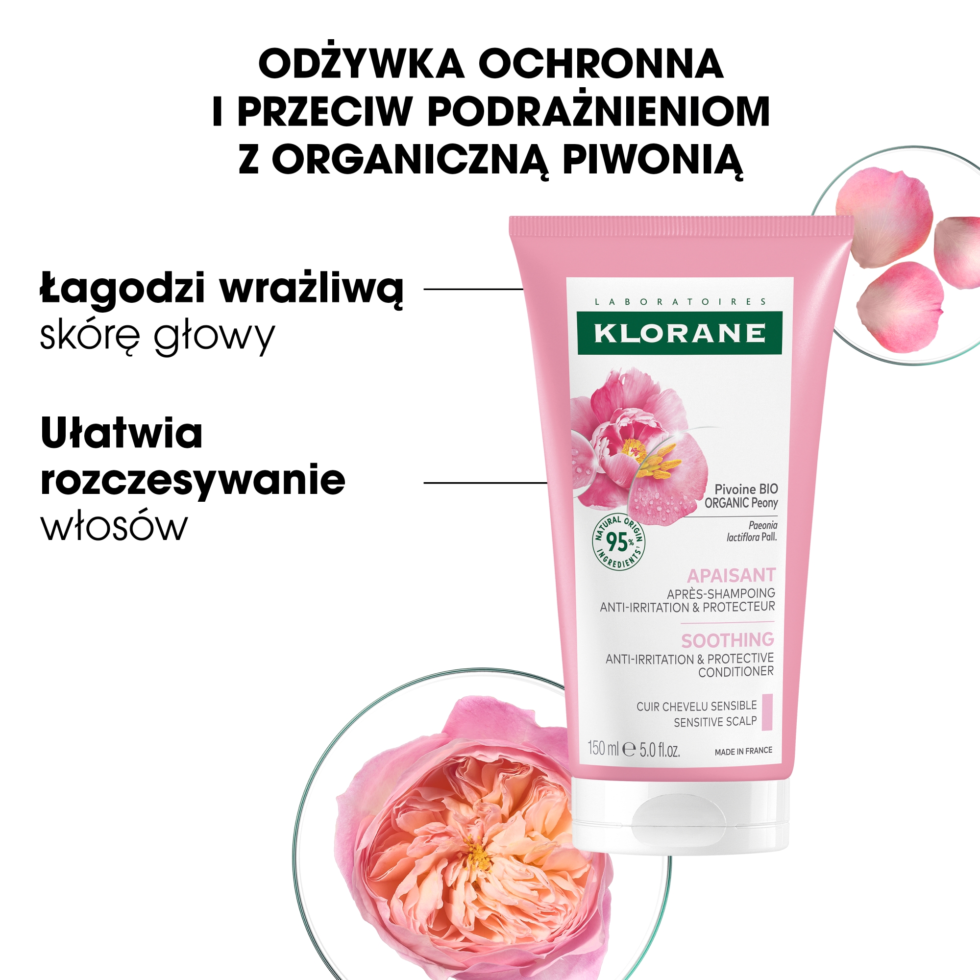 Klorane odżywka z organiczną piwonią 150 ml