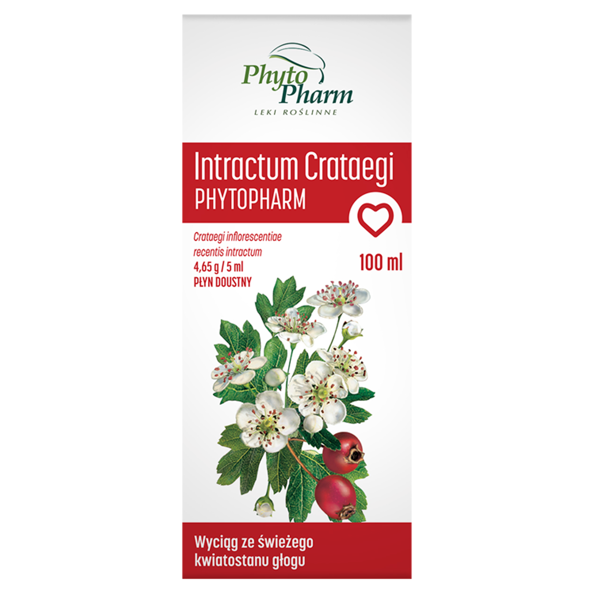 Intractum Crataegi płyn doustny 100 ml zdjęcie