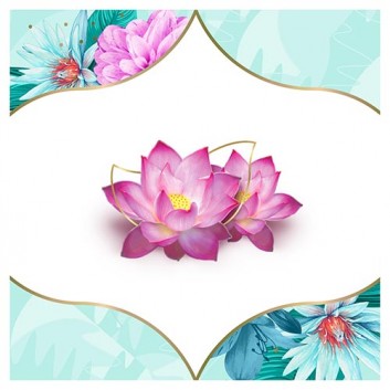 Discreet Multiform Waterlily Wkładki higieniczne, 100 sztuk