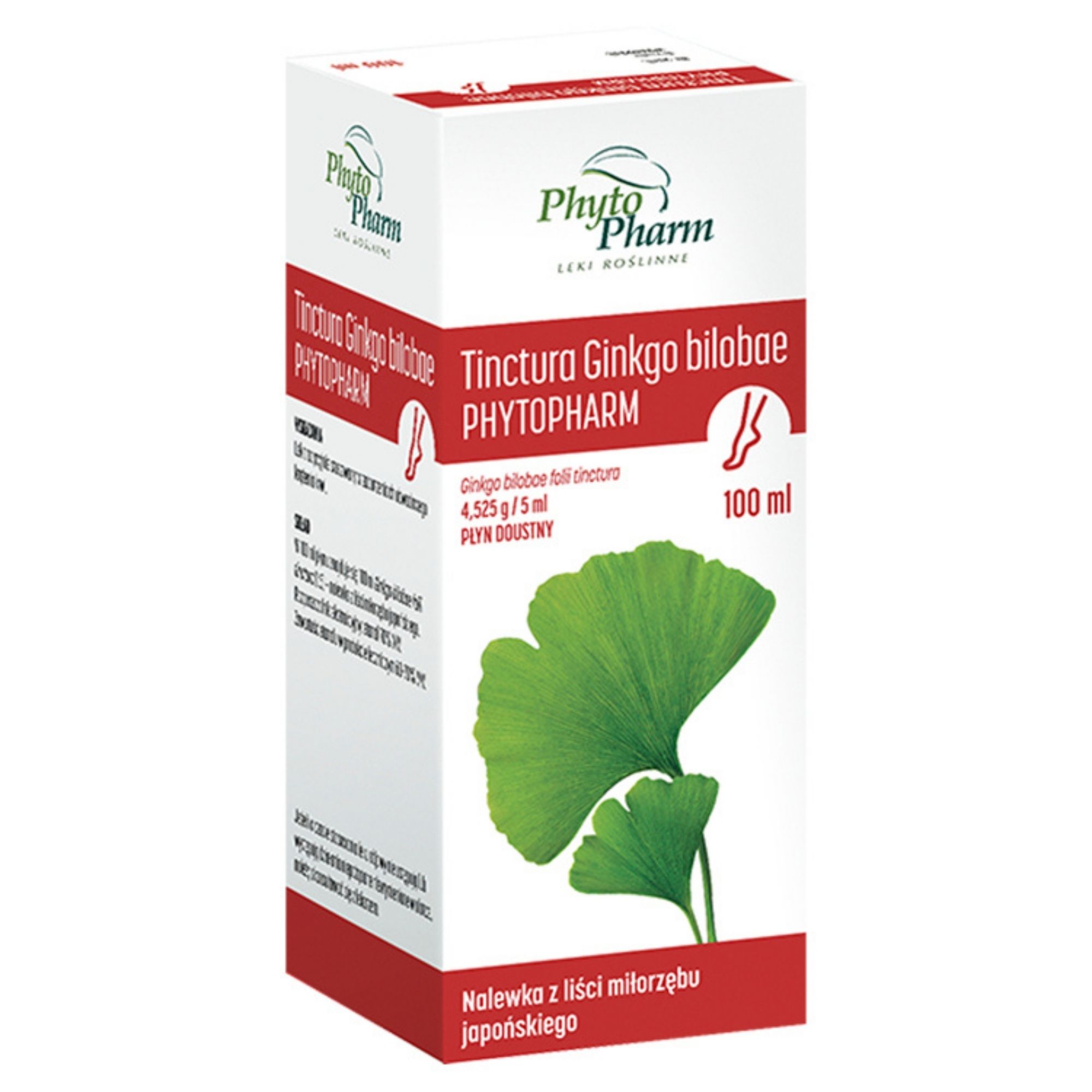 Tinctura Ginkgo Bilobae 4,525 g/5ml płyn doustny 100 ml zdjęcie