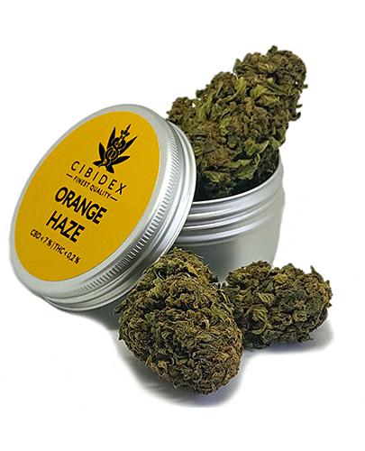 Cibidex Susz konopny CBD Orange haze - 2 g - cena, opinie, stosowanie zdjęcie