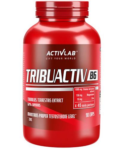 ActivLab Tribuactiv B6 - 90 kaps.- cena, opinie, stosowanie zdjęcie