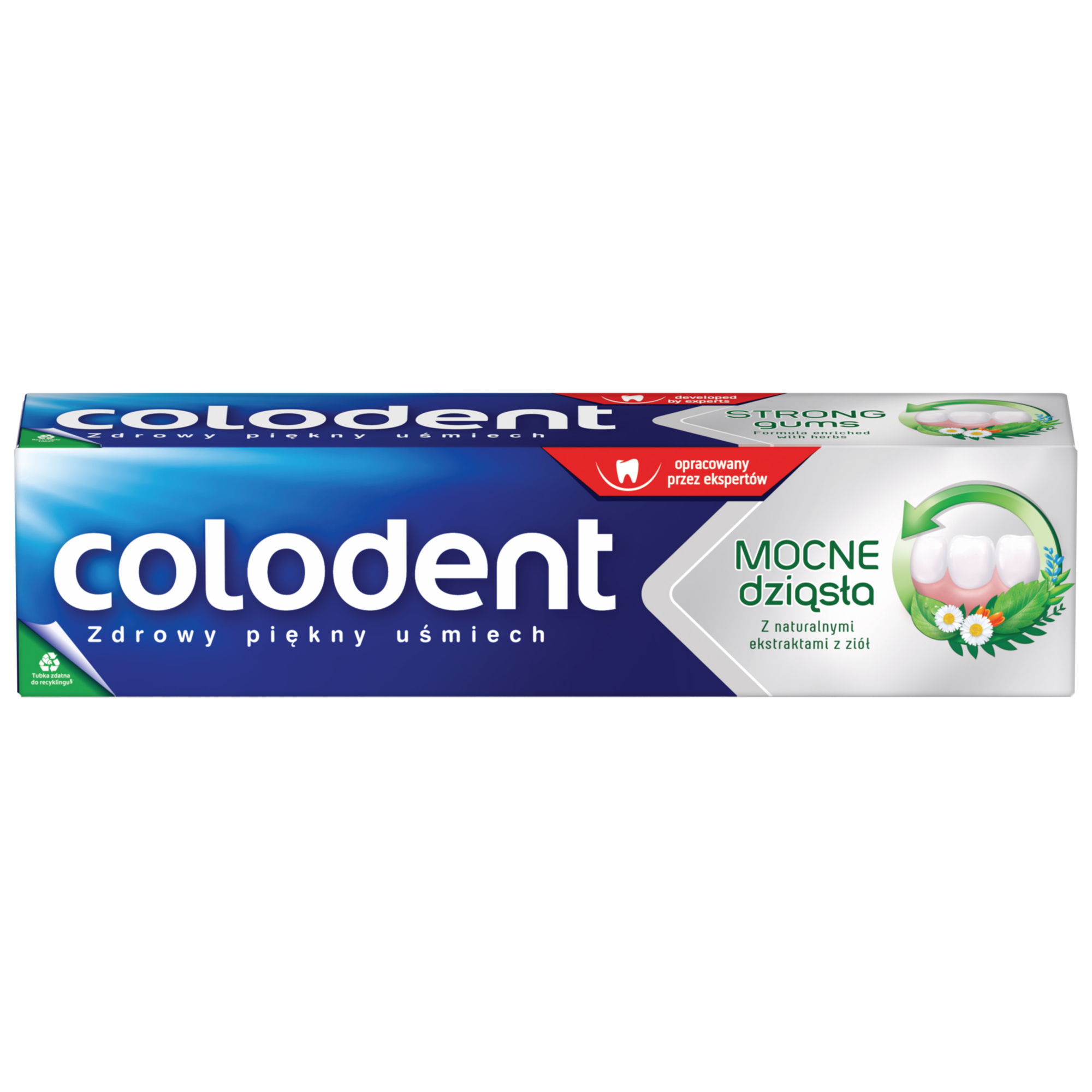 COLODENT STRONG GUMS Pasta do zębów Mocne Dziąsła - 100 ml