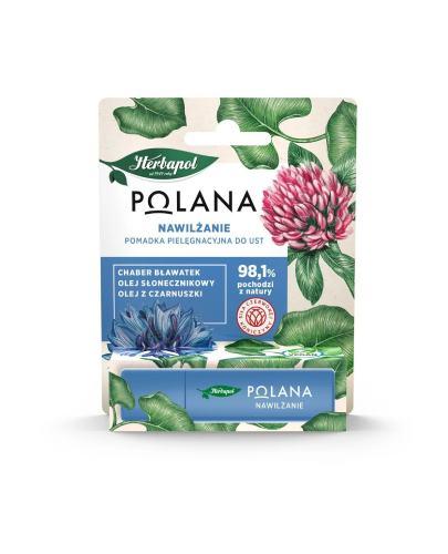 Herbapol Polana Pomadka pielęgnacyjna do ust NAWILŻANIE, 4.7 g zdjęcie