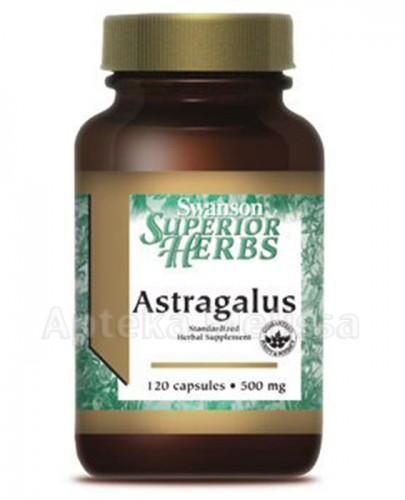 SWANSON Astragalus standaryzowany - 120 kaps. zdjęcie