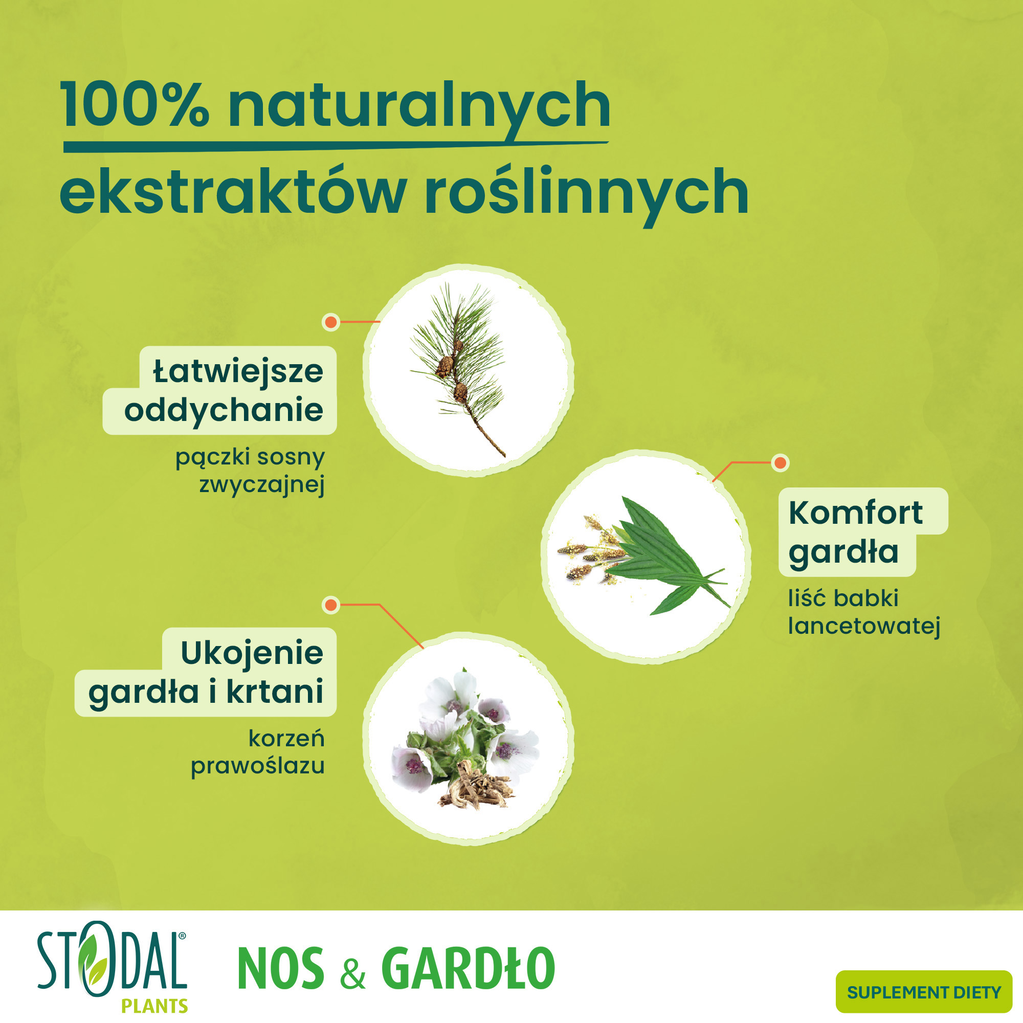 Boiron, Stodal Plants, syrop, 150 ml