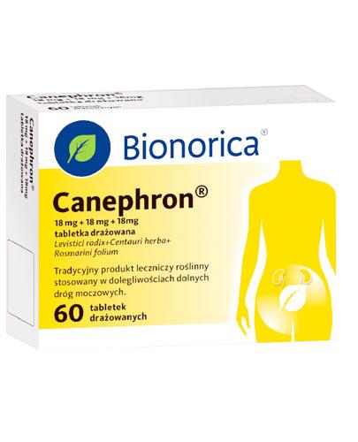 Canephron, tabletki drażowane, 60 sztuk zdjęcie