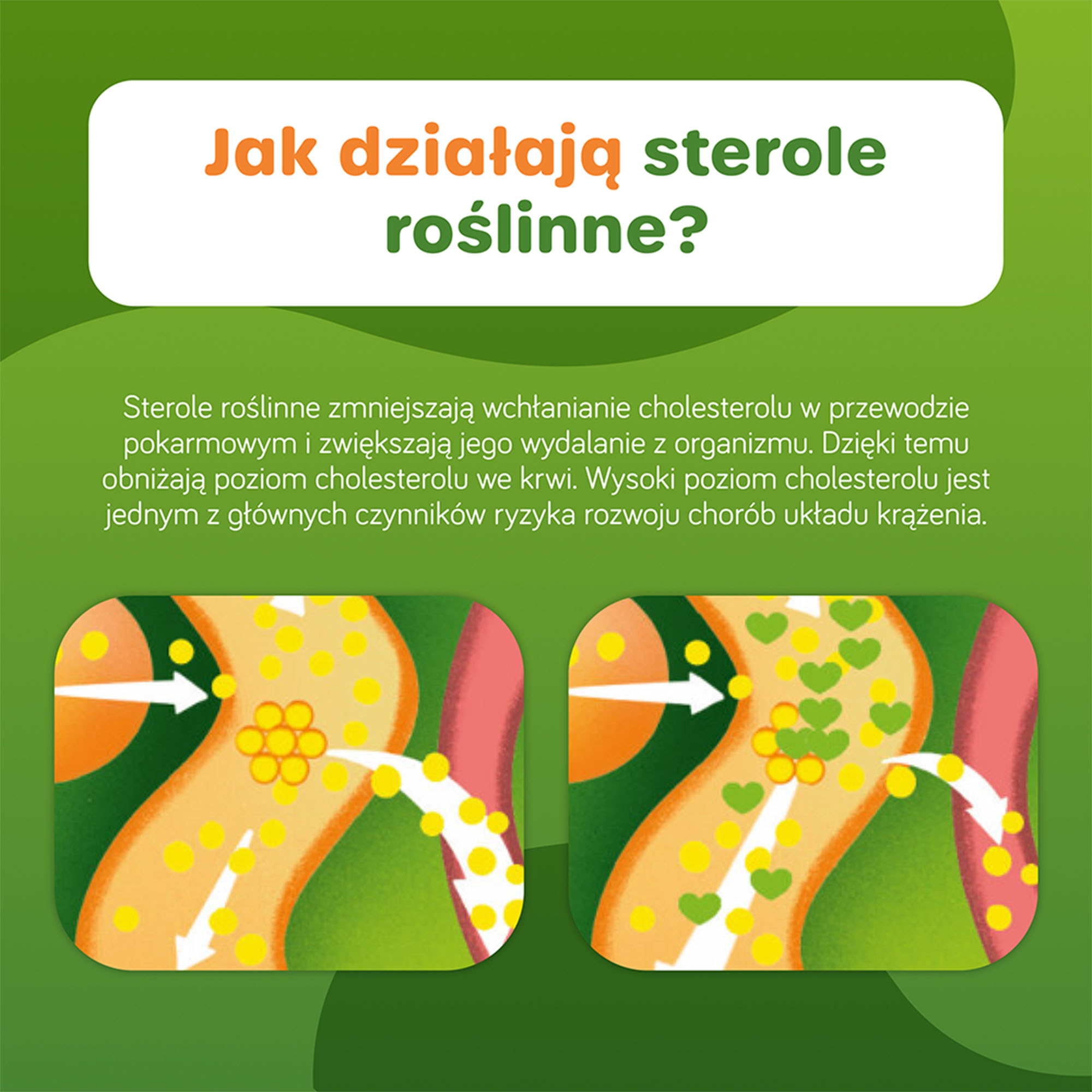 Danacol Plus 21 saszetek