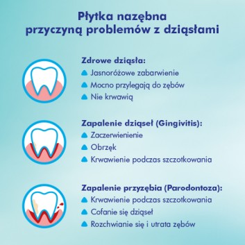 Meridol Ochrona Dziąseł szczotka do zębów miękka 1 sztuka