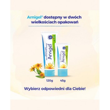 Arnigel żel 45 g