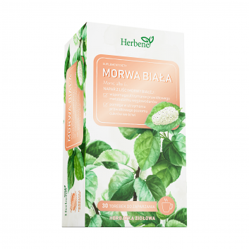 Herbene Morwa Biała, 30 sztuk