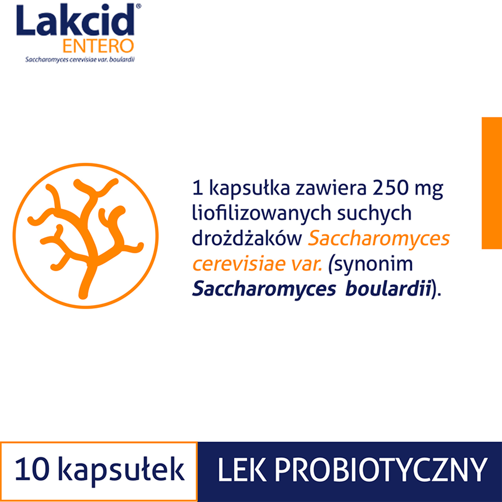 Lakcid ENTERO 250 mg 10 kapsułek twardych