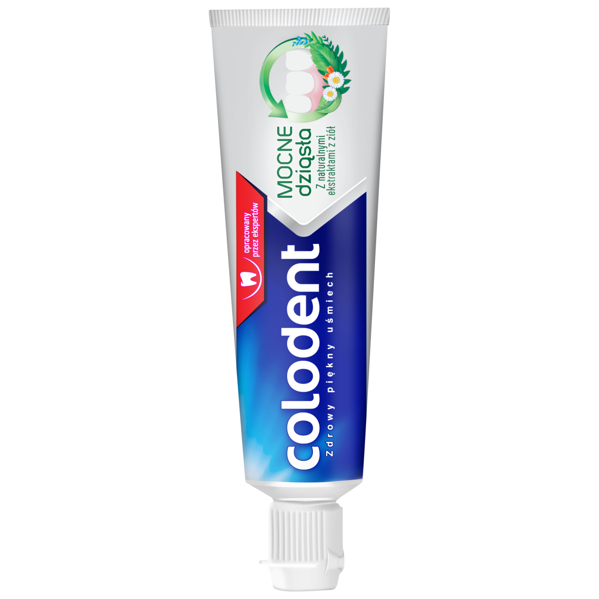 COLODENT STRONG GUMS Pasta do zębów Mocne Dziąsła - 100 ml zdjęcie