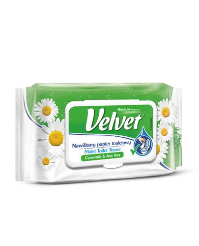 VELVET RUMIANEK I ALOES Nawilżany papier toaletowy - 48 szt. zdjęcie