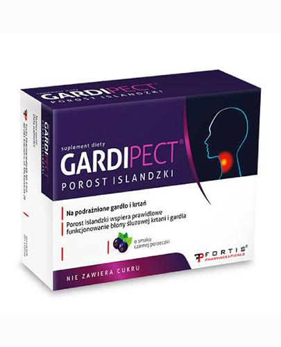 Gardipect Porost Islandzki o smaku czarnej porzeczki, 24 pastylki zdjęcie