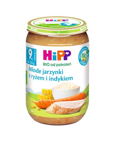HiPP BIO od pokoleń, Młode jarzynki z ryżem i indykiem, po 9. m-cu, 220 g zdjęcie