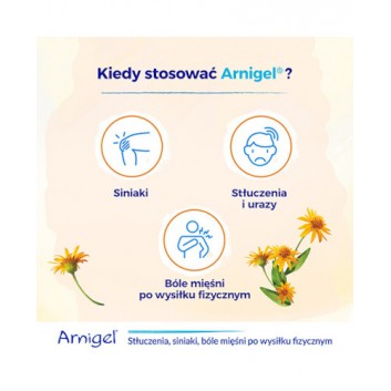 Arnigel żel 45 g