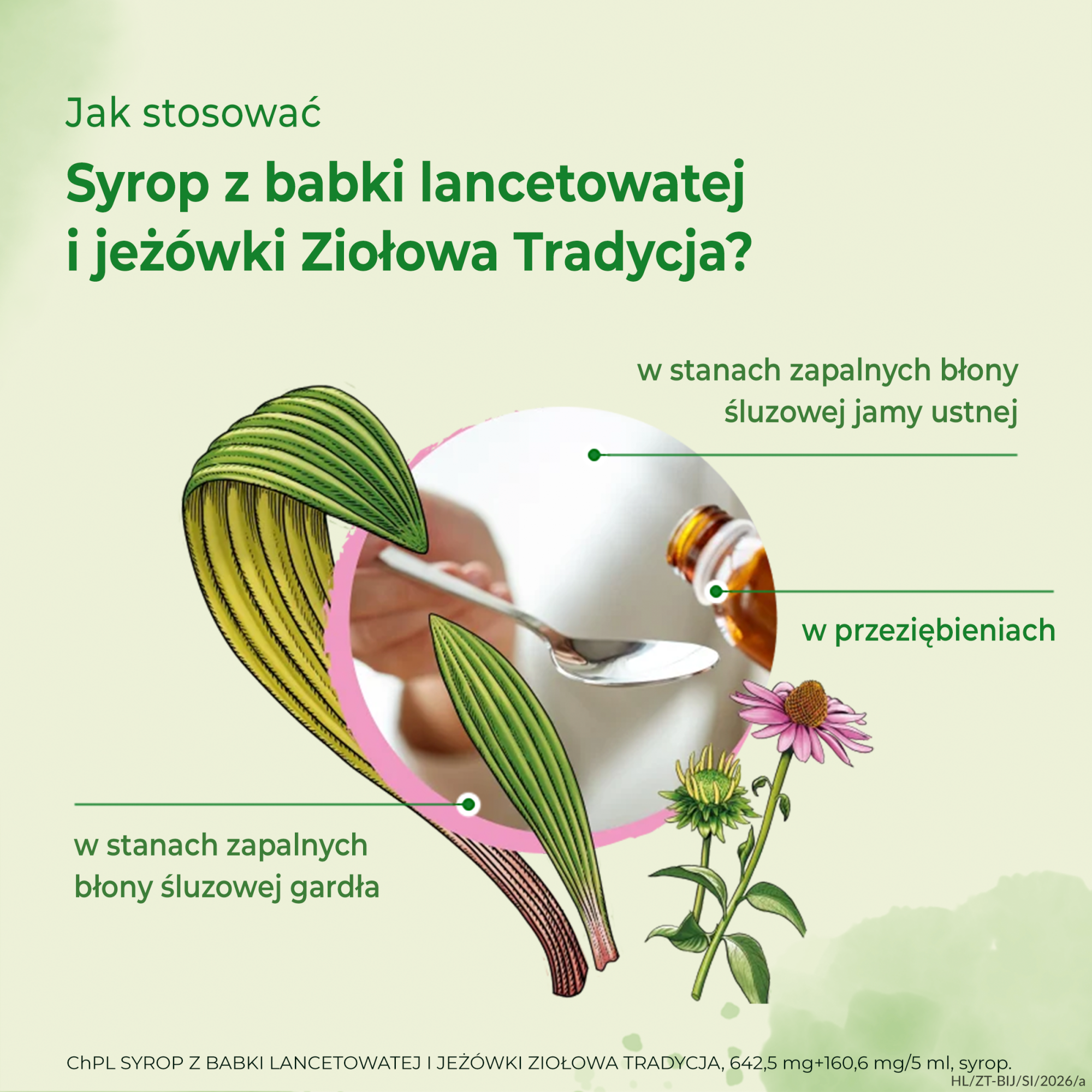 ZIOŁOWA TRADYCJA Syrop z babki lancetowatej i jeżówki, 125 g