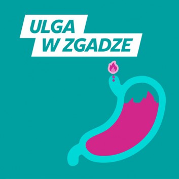 Gaviscon 250 mg + 133,5 mg + 80 mg o smaku mięty tabletki 24 sztuk
