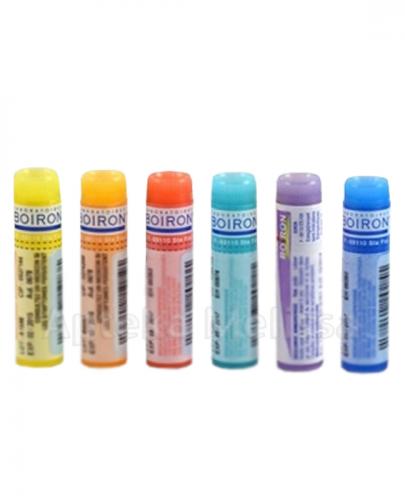 BOIRON Arnica montana 9CH gran. - 1 g zdjęcie