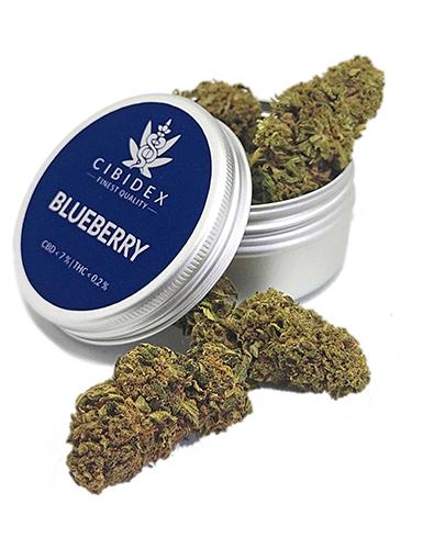 Cibidex Susz konopny CBD Blueberry - 2 g - cena, opinie, stosowanie zdjęcie