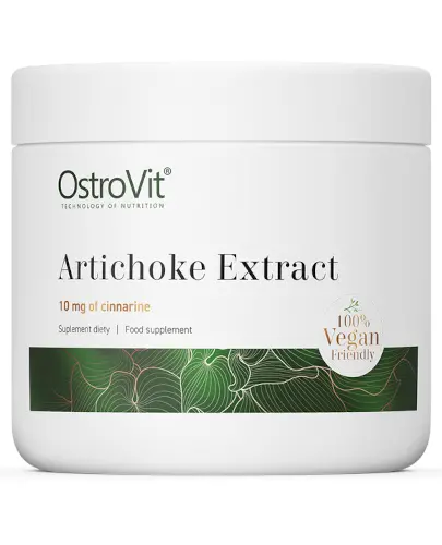 OstroVit Artichoke Extract proszek 100 g zdjęcie