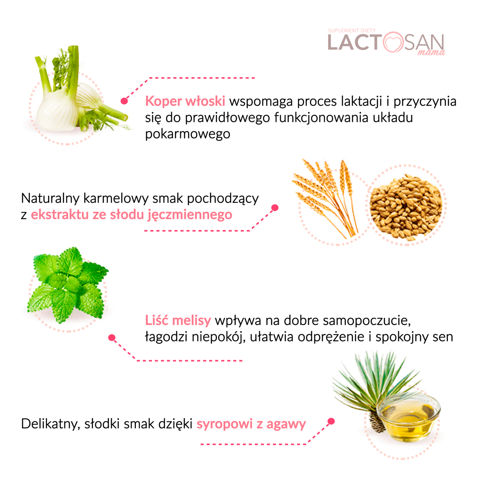 Lactosan Mama wspomaga laktację 14 saszetek