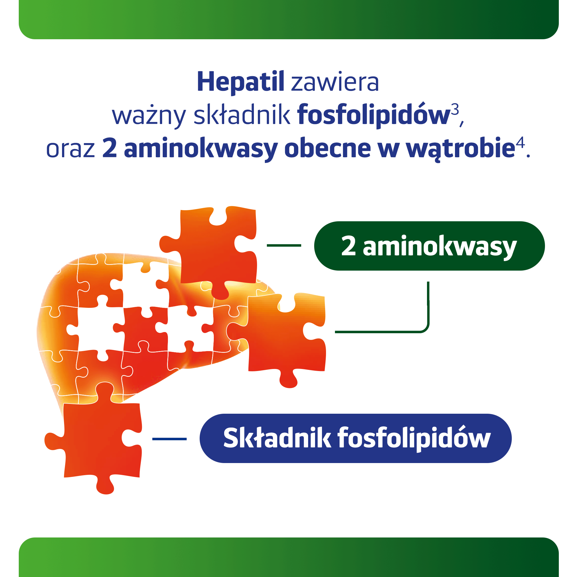 USP Zdrowie, Hepatil, tabletki, 120 sztuk