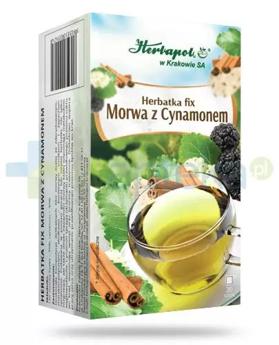 Herbapol Herbatka fix Morwa z cynamonem 20 saszetek zdjęcie