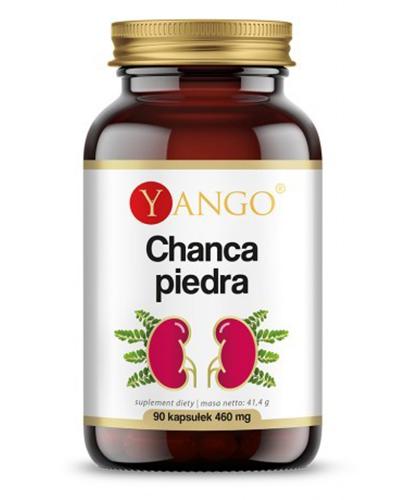 Yango Chanca piedra ekstrakt 10:1, 90 kaps. cena, opinie, stosowanie zdjęcie