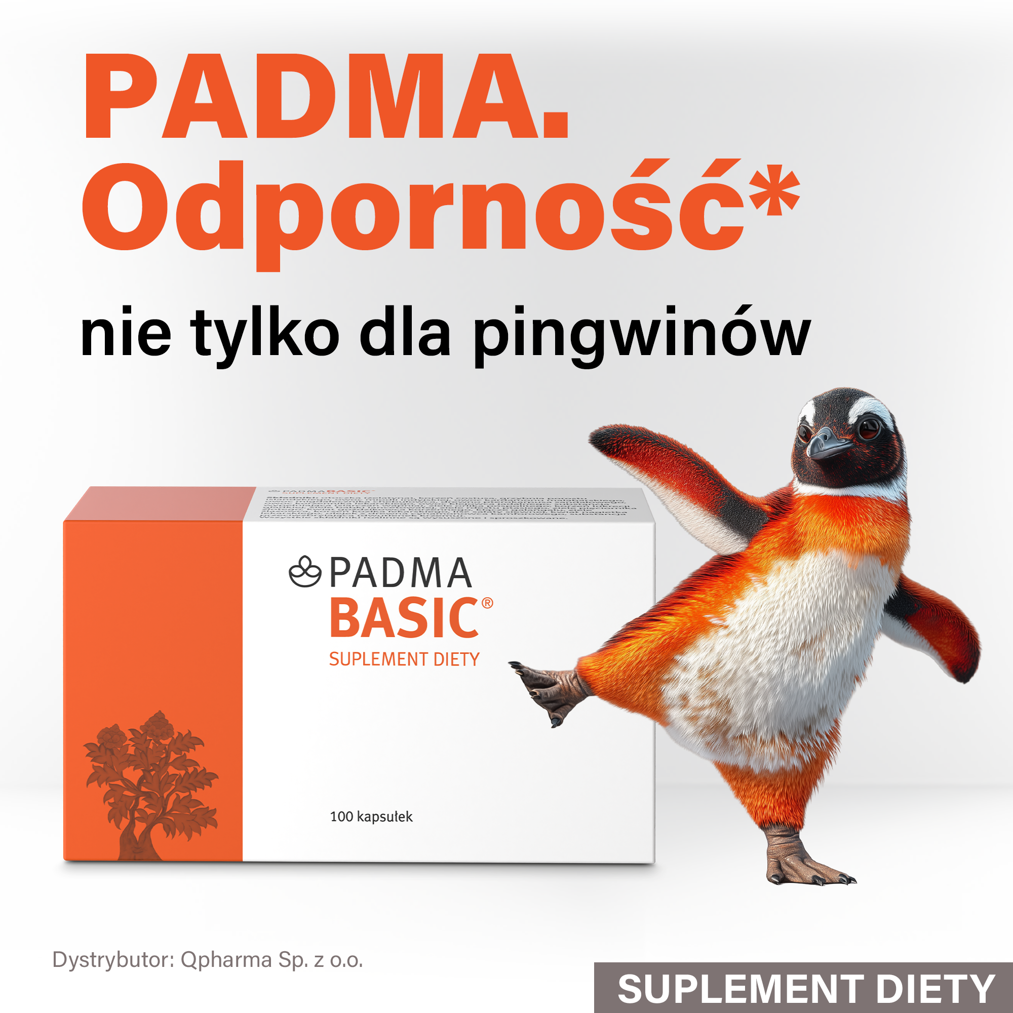Padma Basic, kapsułki, 100 sztuk