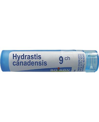 BOIRON Hydrastis Canadensis 9 CH granulki - 4 g - cena, opinie, skład zdjęcie