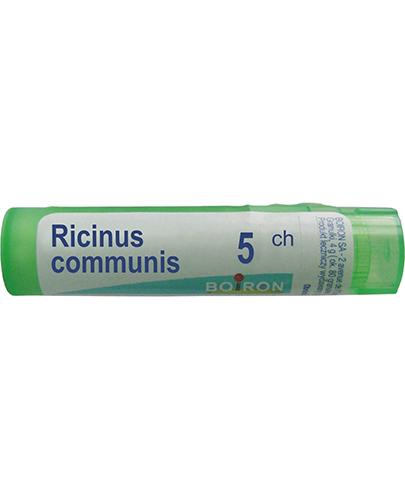 BOIRON Ricinus communis 5CH gran. - 4 g zdjęcie