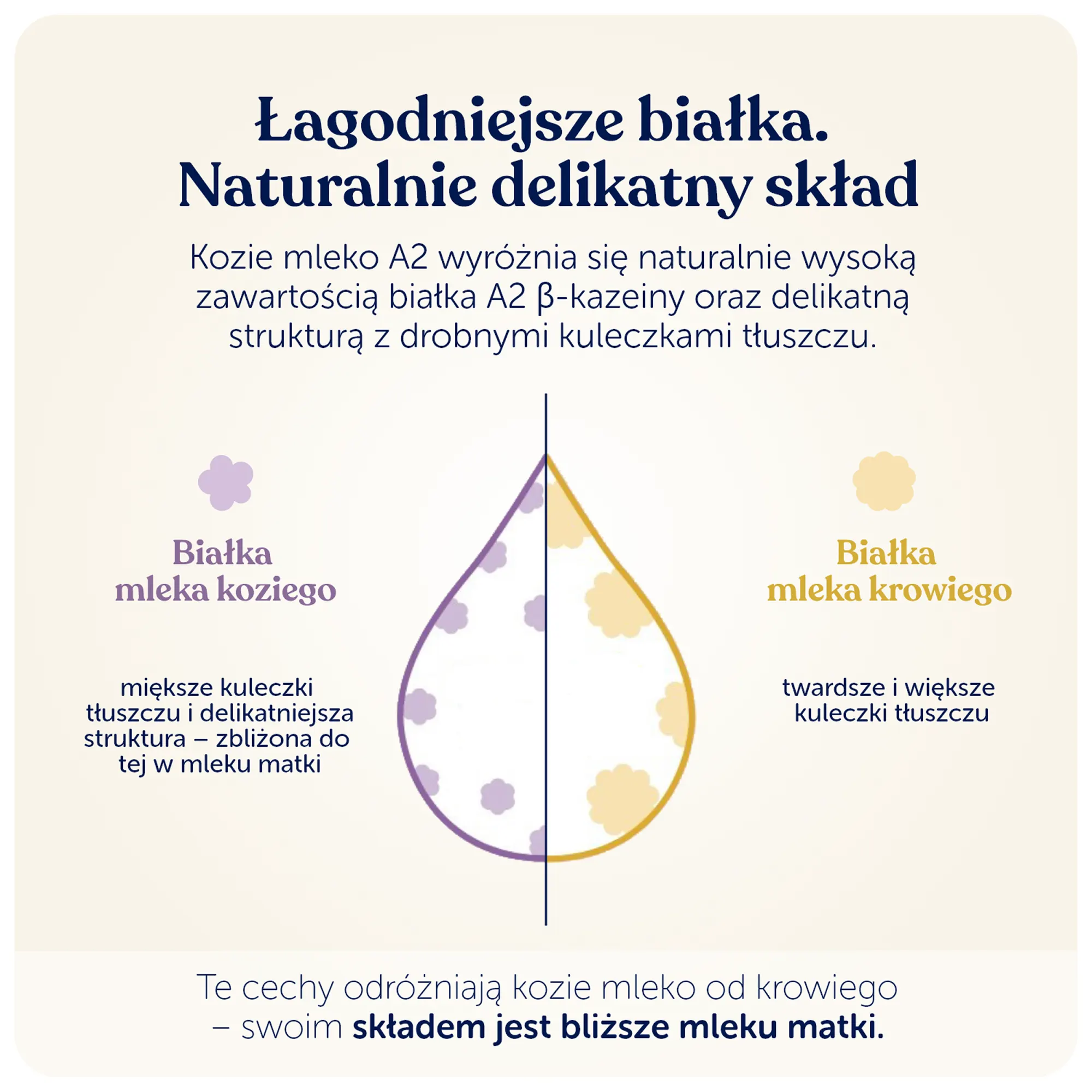 Kendamil, Kozie mleko następne 2, 800 g