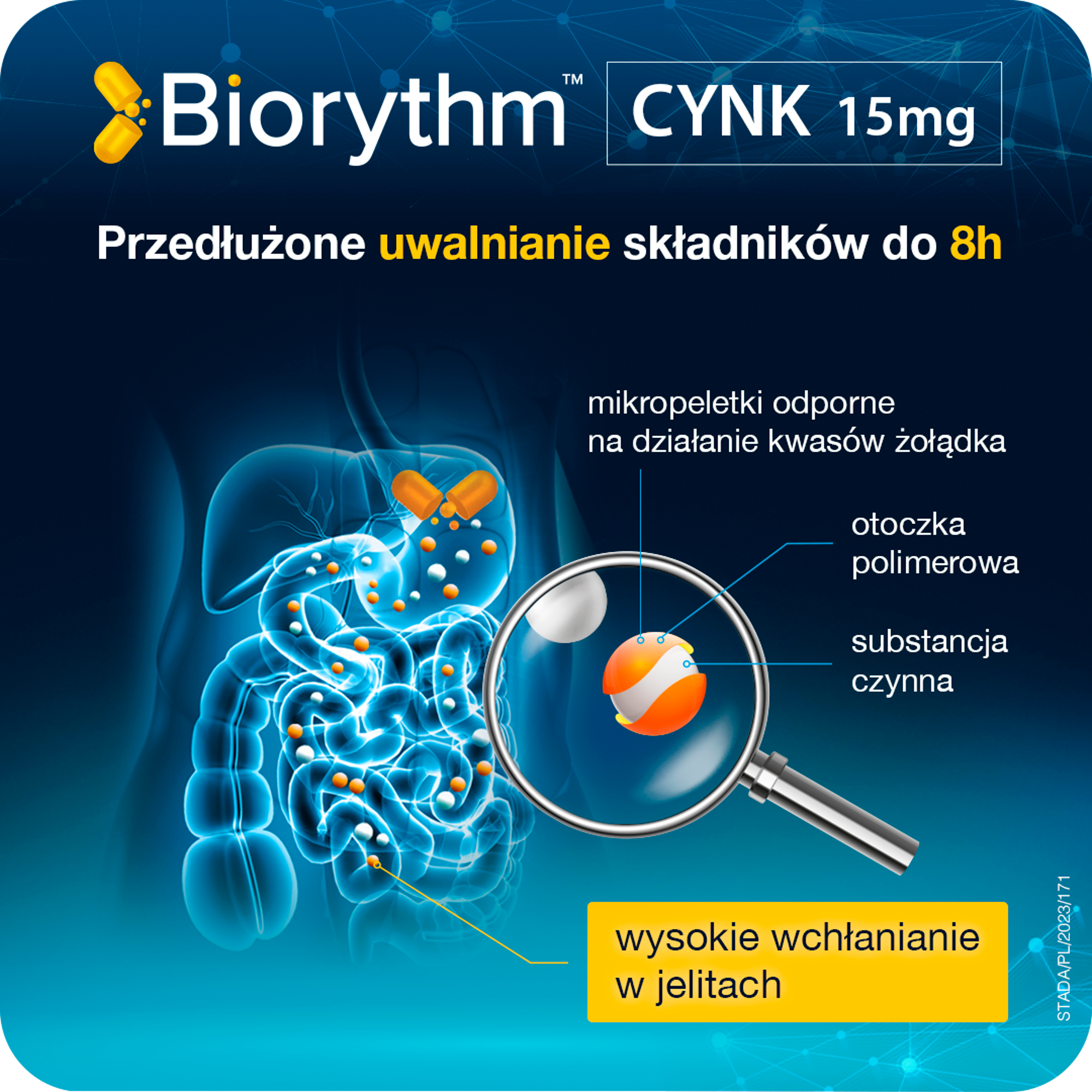 Biorythm Cynk 15 mg 30 kapsułek