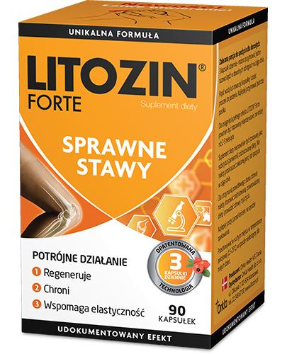 Litozin Forte 90 kapsułek zdjęcie