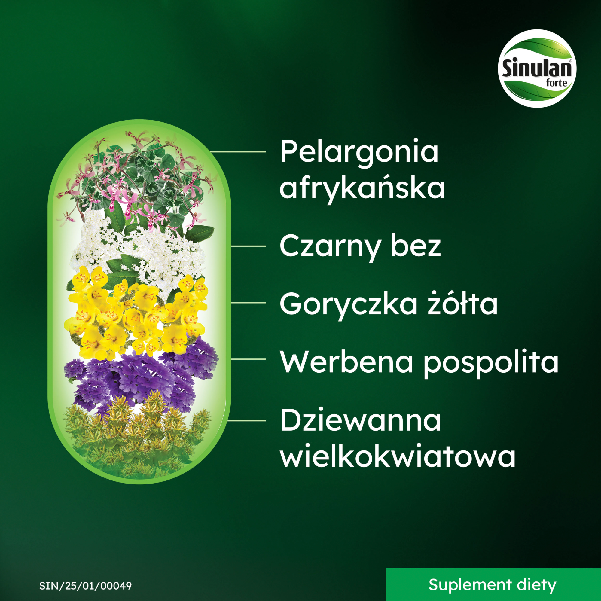 Sinulan Forte 30 tabletek