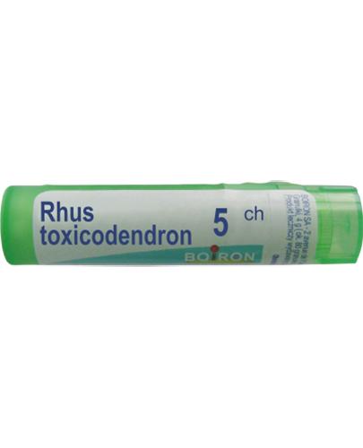 BOIRON Rhus toxicodendron 5CH gran. - 4 g zdjęcie
