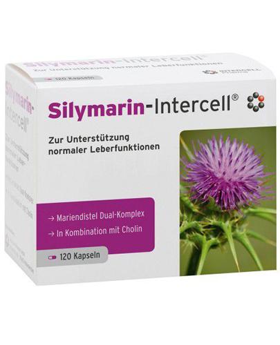 Mitopharma Silymarin-Intercell - 120 kaps. - cena, opinie, dawkowanie zdjęcie