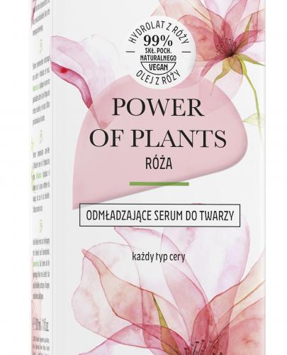 Lirene POWER OF PLANTS RÓŻA Odmładzające serum do twarzy, 30 ml zdjęcie