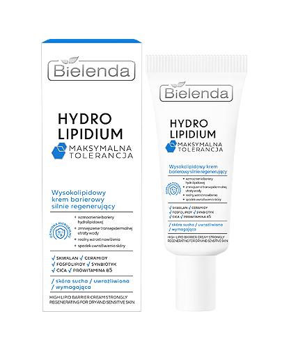 Bielenda Hydro Lipidium Maksymalna Tolerancja Wysoko-Lipidowy Krem barierowy silnie regenerujący, 50 ml zdjęcie