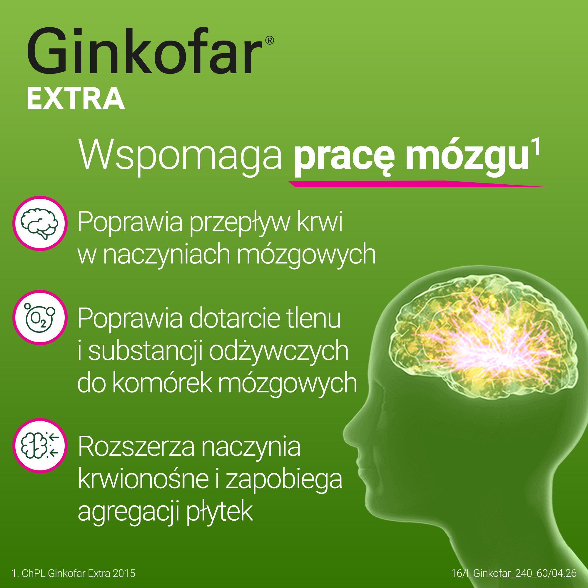 Ginkofar Extra, 240 mg, tabletki powlekane, 60 sztuk