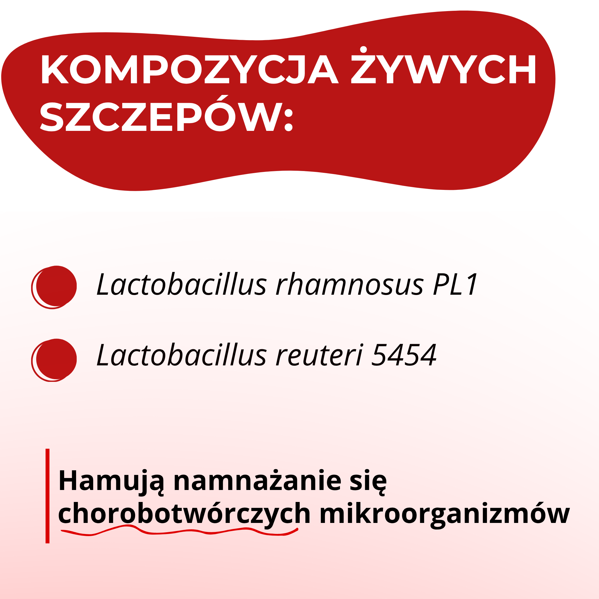 ProctoLact-M, 10 saszetek
