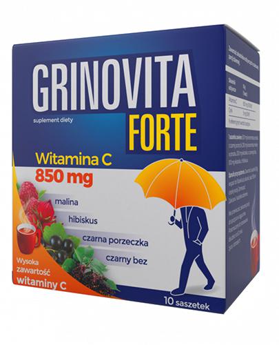 Grinovita Forte, proszek, 10 g, 10 saszetek zdjęcie
