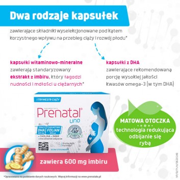 Prenatal Uno, kapsułki, 60 sztuk (30 sztuk + 30 sztuk)