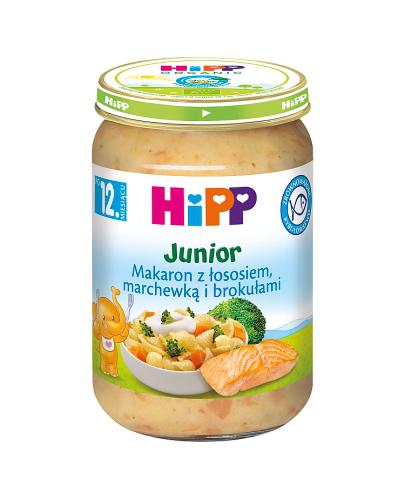 HiPP, Makaron z łososiem, marchewką i brokułami, po 12. m-cu, 250 g, cena, opinie, wskazania zdjęcie