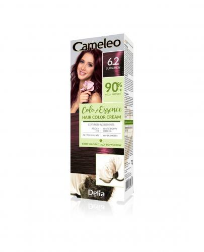 Cameleo Color Essence Krem koloryzujący 6.2 burgundy, 75 g zdjęcie