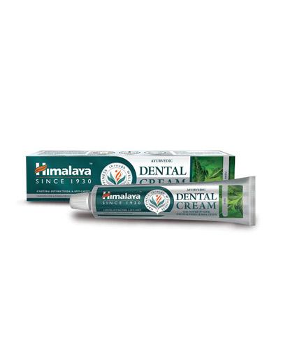 Himalaya Dental Cream Ajurwedyjska pasta do zębów z Neem - 100 g - cena, opinie, właściwości zdjęcie